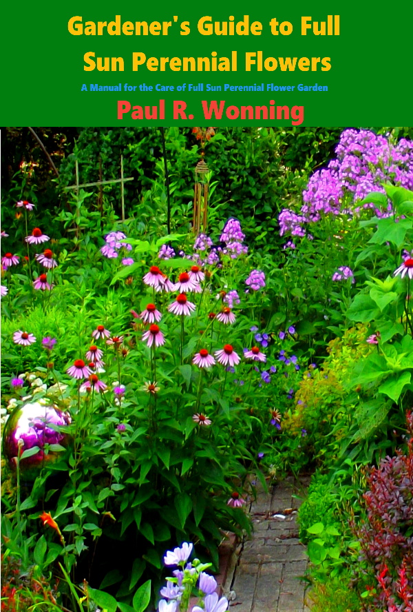 Gardener's Guide to Full Sun Perennial Flowers