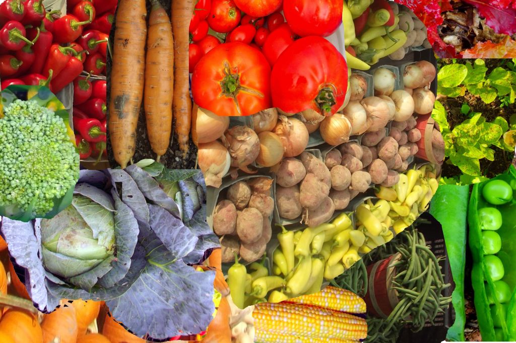 Vegetable Gardening Guide