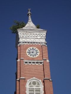 Greensburg Museum and Courthouse Tree