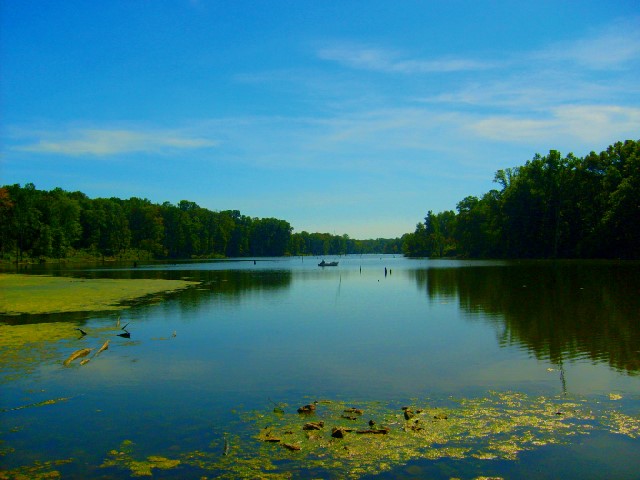Big Oaks National Wildlife Refuge