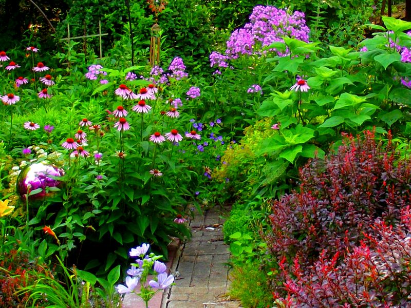 Beautiful Flowers Year after Year