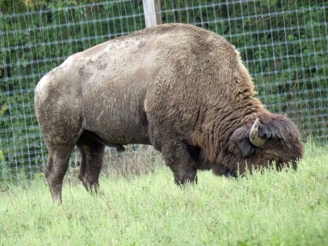 Indiana State Park Guide