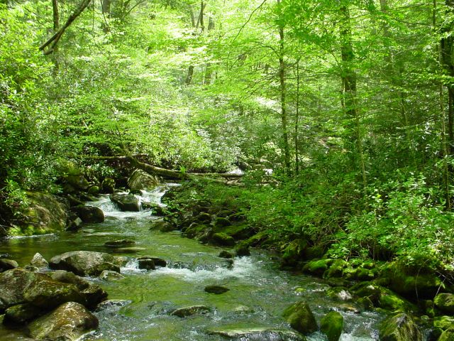 National Park History