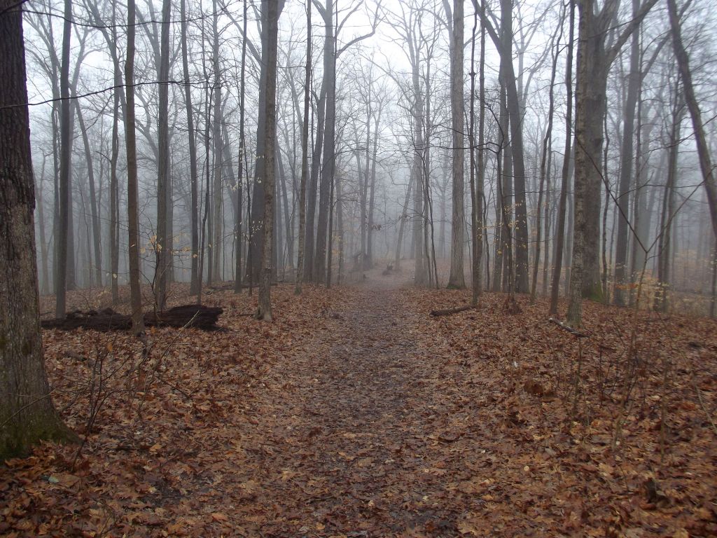 McCormick's Creek Hiking