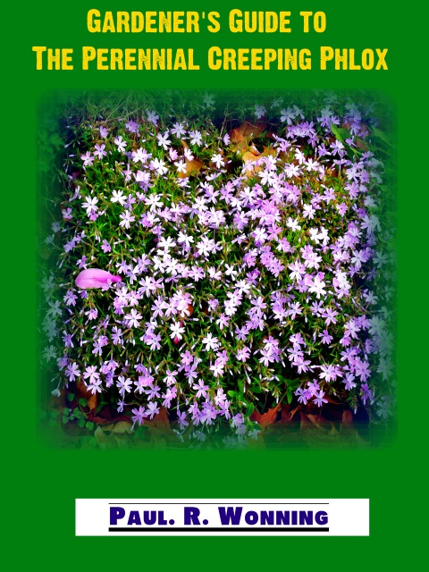 Gardener's Guide to The Perennial Creeping Phlox