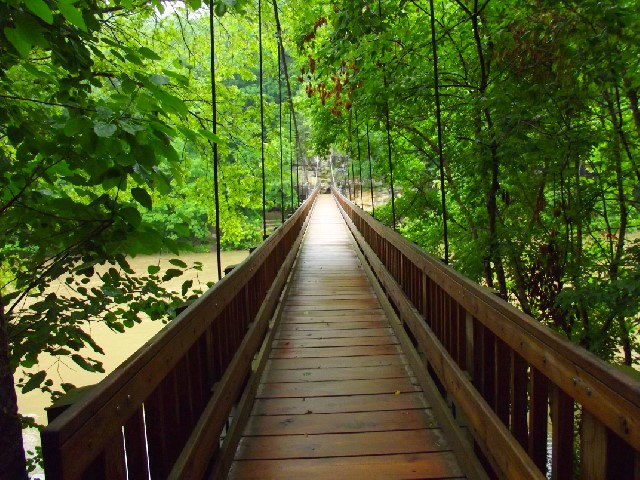 Turkey Run State Park Suspension Bridge