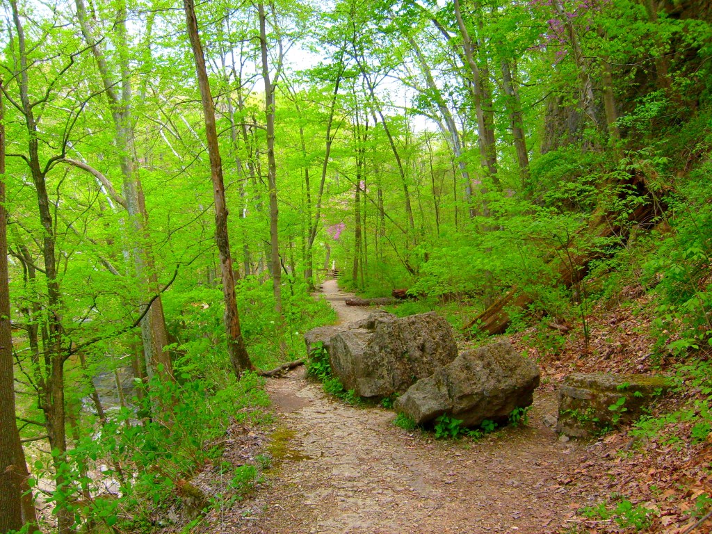 Hiking Trail at Clifty Falls State Park