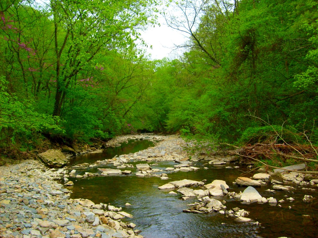 Clifty Creek at Clifty Falls State Park
