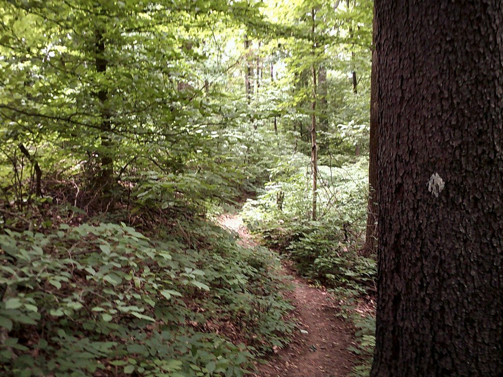 Nature Adventure - Hitz-Rhodehamel Nature Preserve 