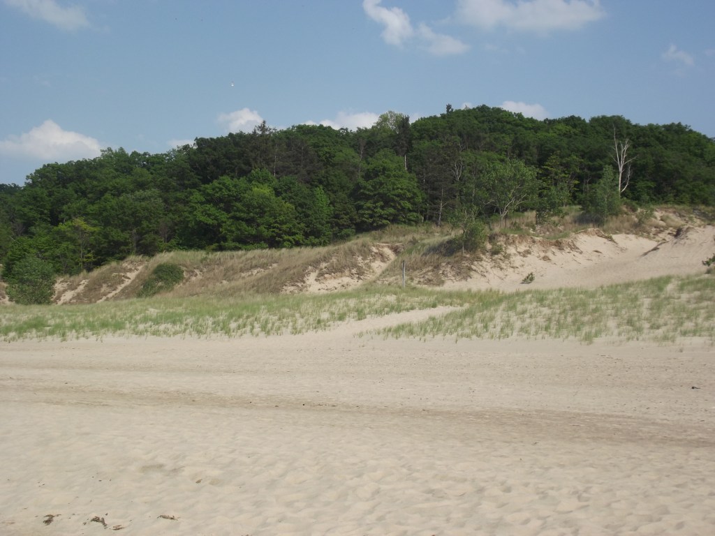 Indiana Dunes State Park