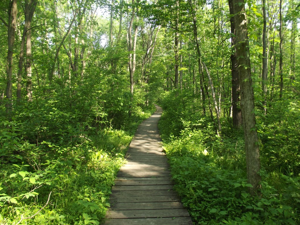 Indiana Dunes State Park Hiking