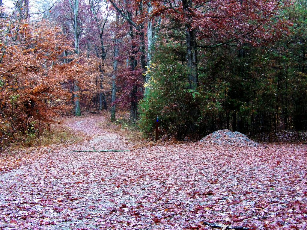 Flower Gap Trail at Deam Lake