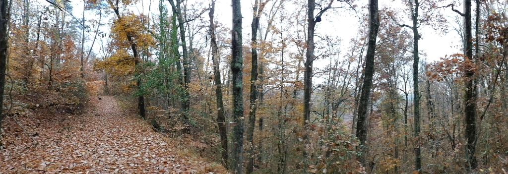 Tree Lane and the Three Hills Trails