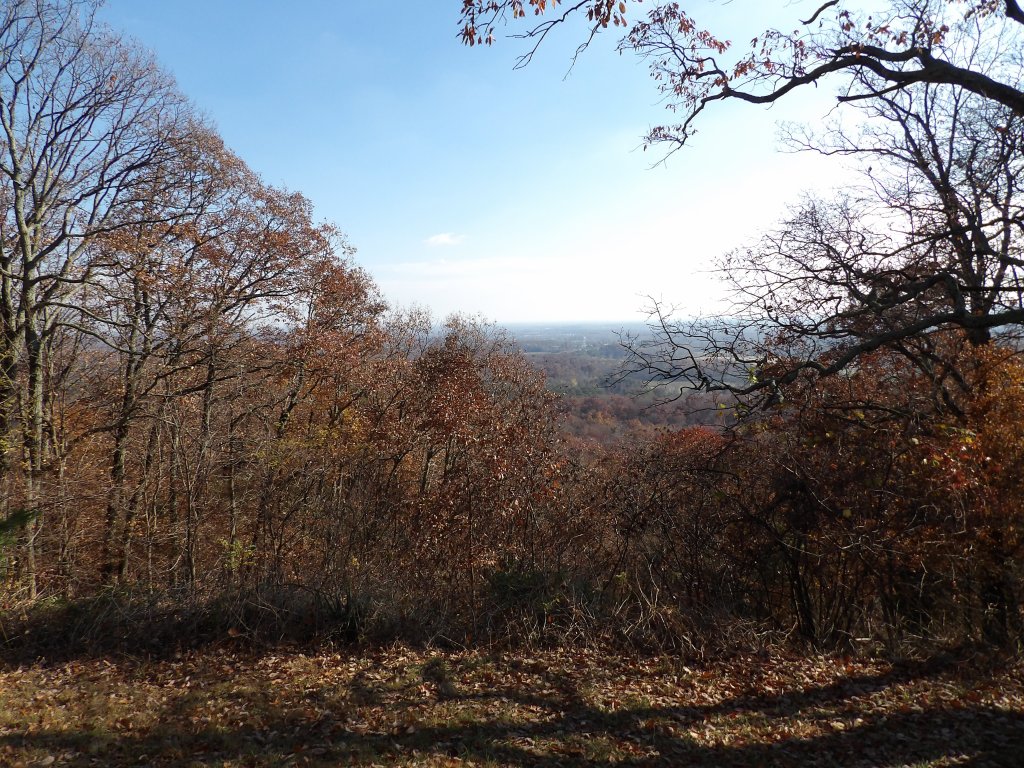 Clark State Forest Vista