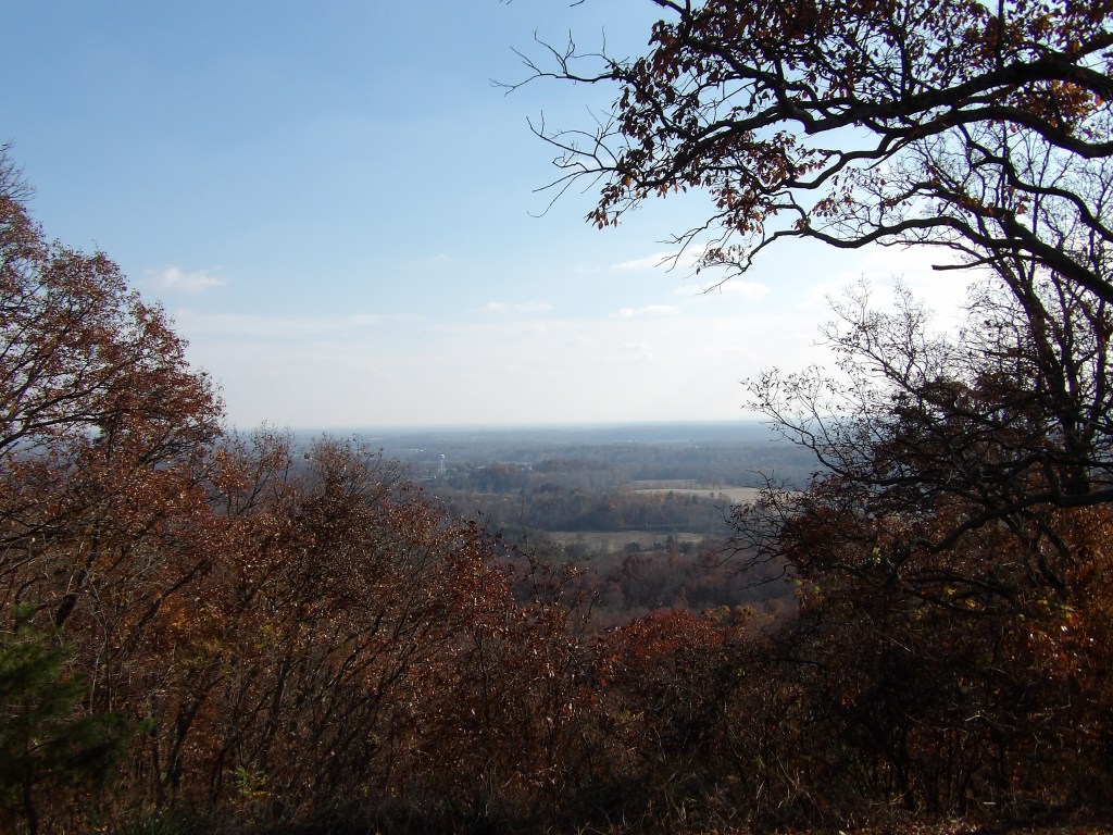 Clark State Forest Vista