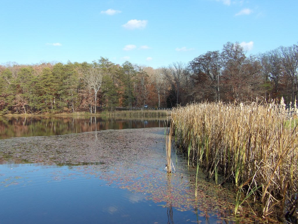 Franke Lake - Clark State Forest