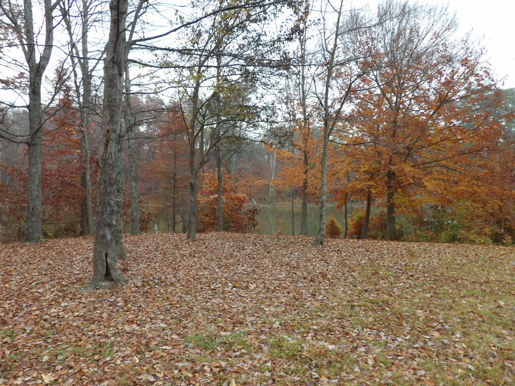 Camping at Deam Lake