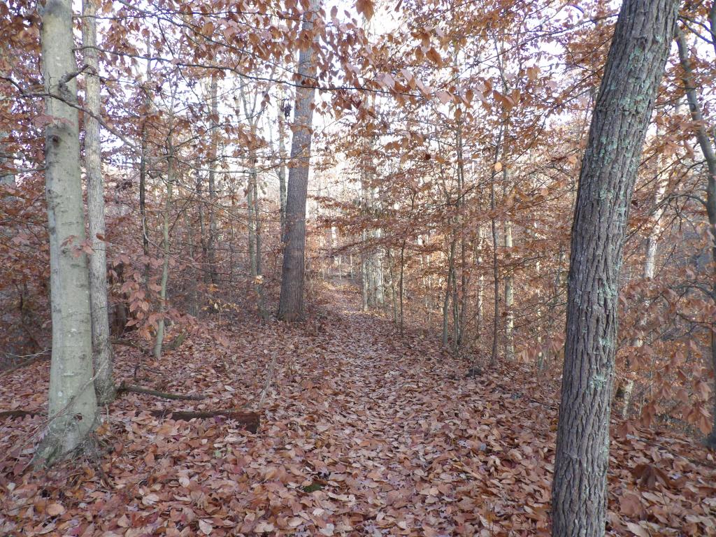 Lake Vista Trail. at Deam Lake