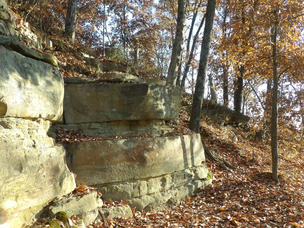 Lake Vista Trail. at Deam Lake