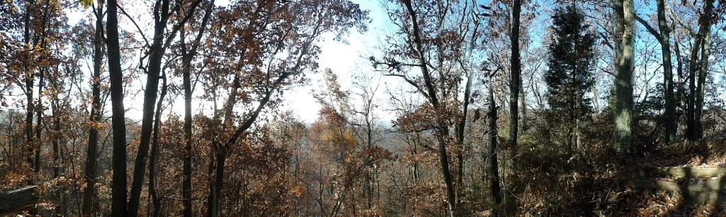 Lake Vista Trail. at Deam Lake