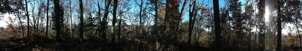 Lake Vista Trail. at Deam Lake