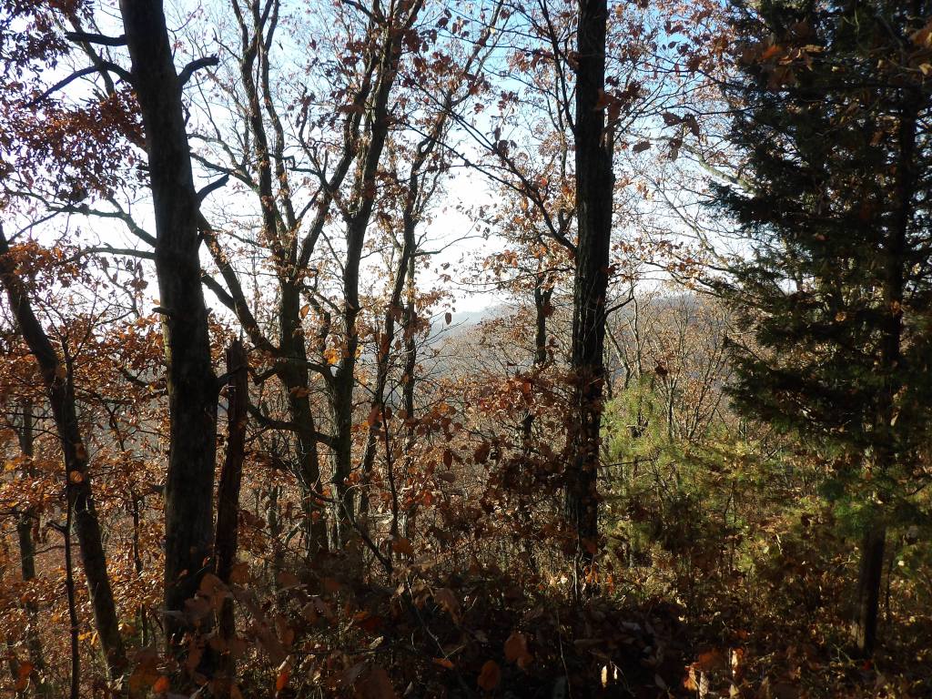 Lake Vista Trail. at Deam Lake