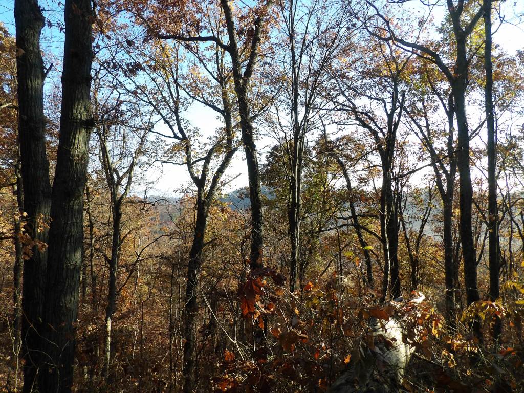 Lake Vista Trail. at Deam Lake