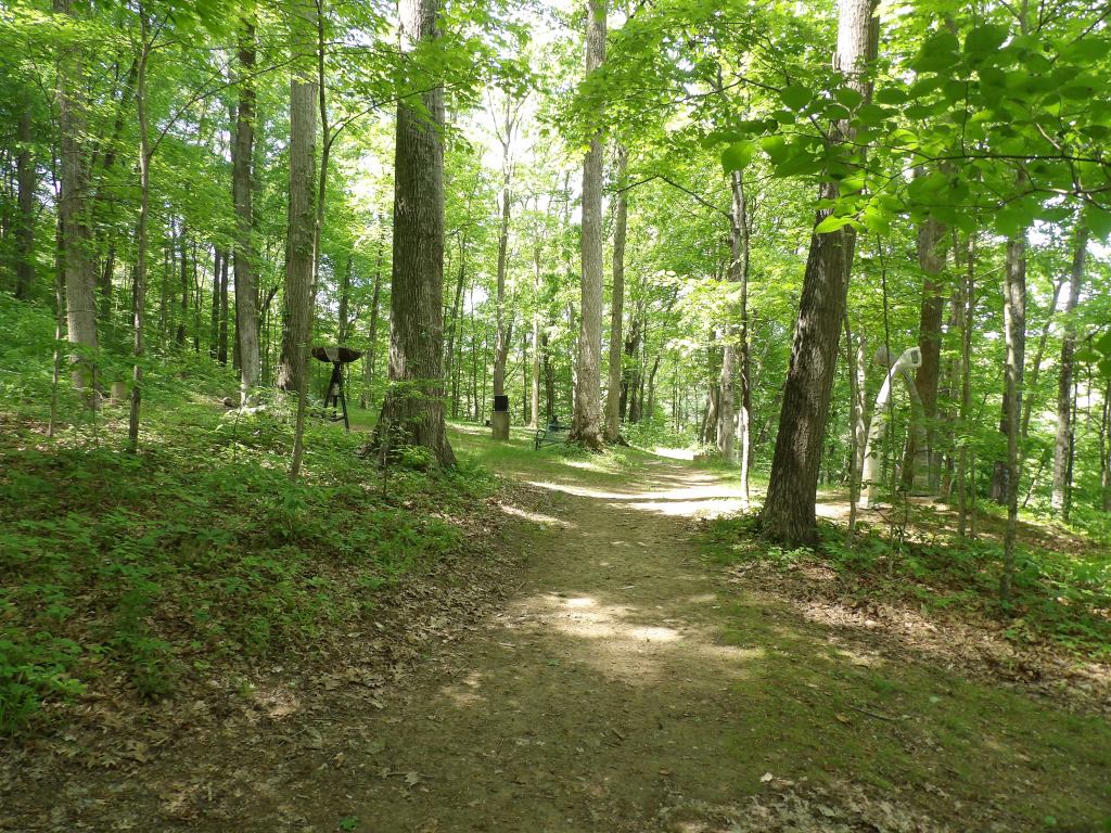 Sculpture Trails Outdoor Museum