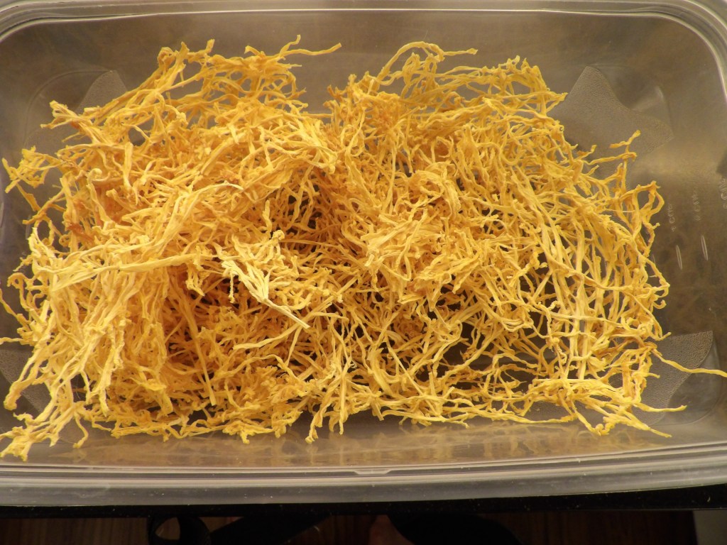 Dehydrated Pumpkin "Threads"