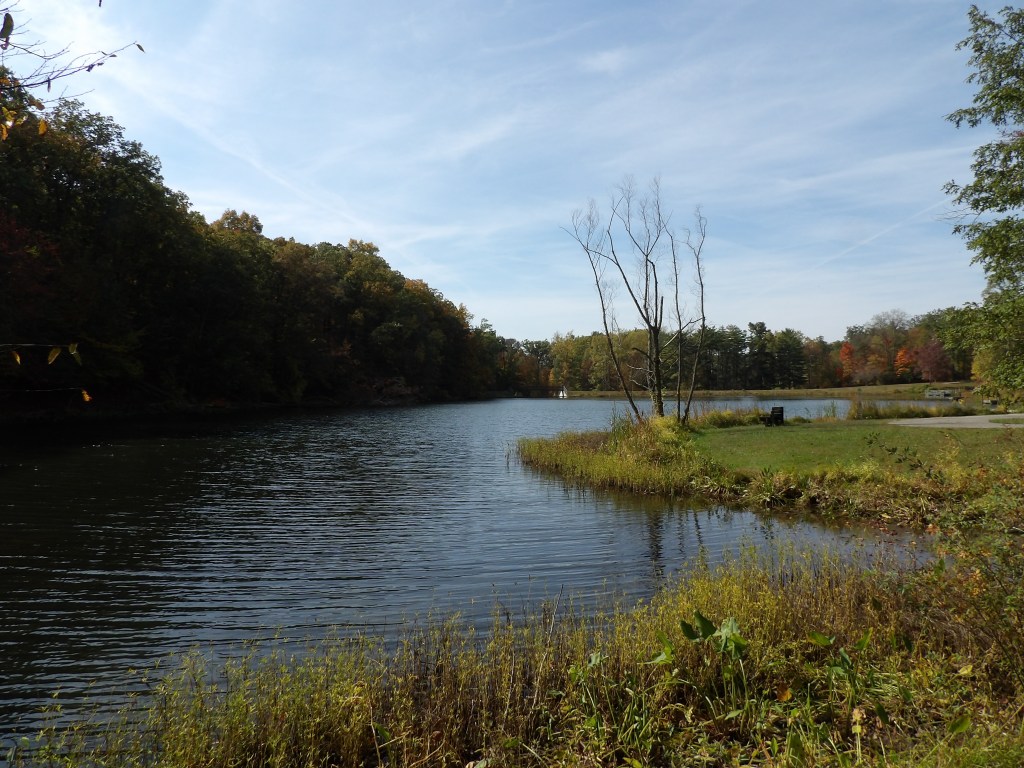 Jackson Washington State Forest