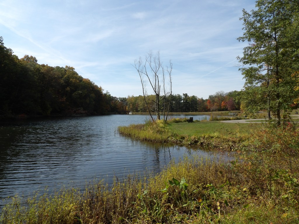 Jackson Washington State Forest