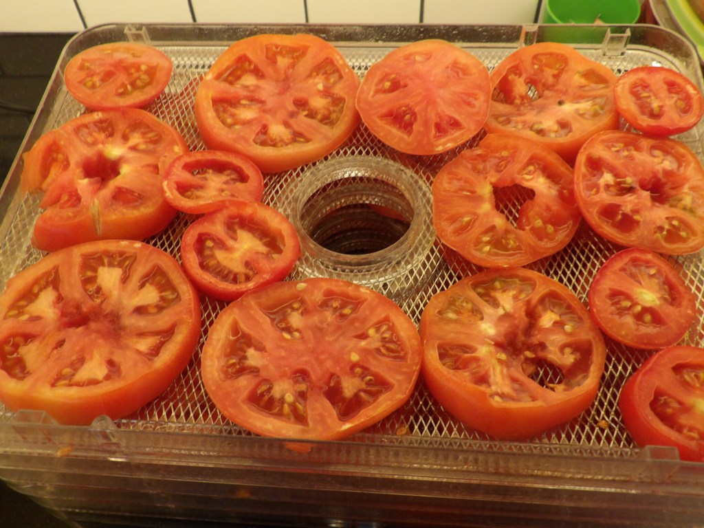 Tomatoes in Dehydrator Tray