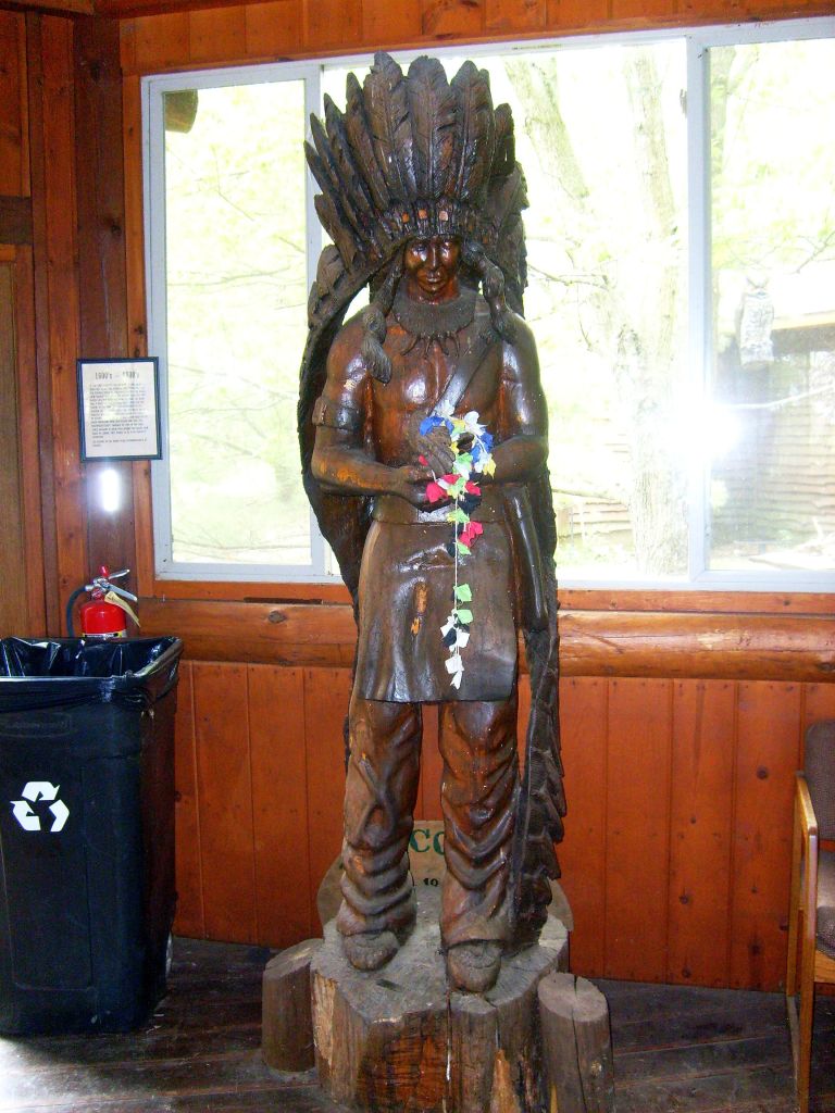 Wild Winds Buffalo Preserve