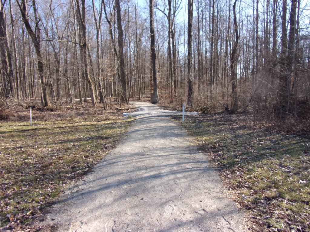 Brandt Natural Area - Versailles State Park