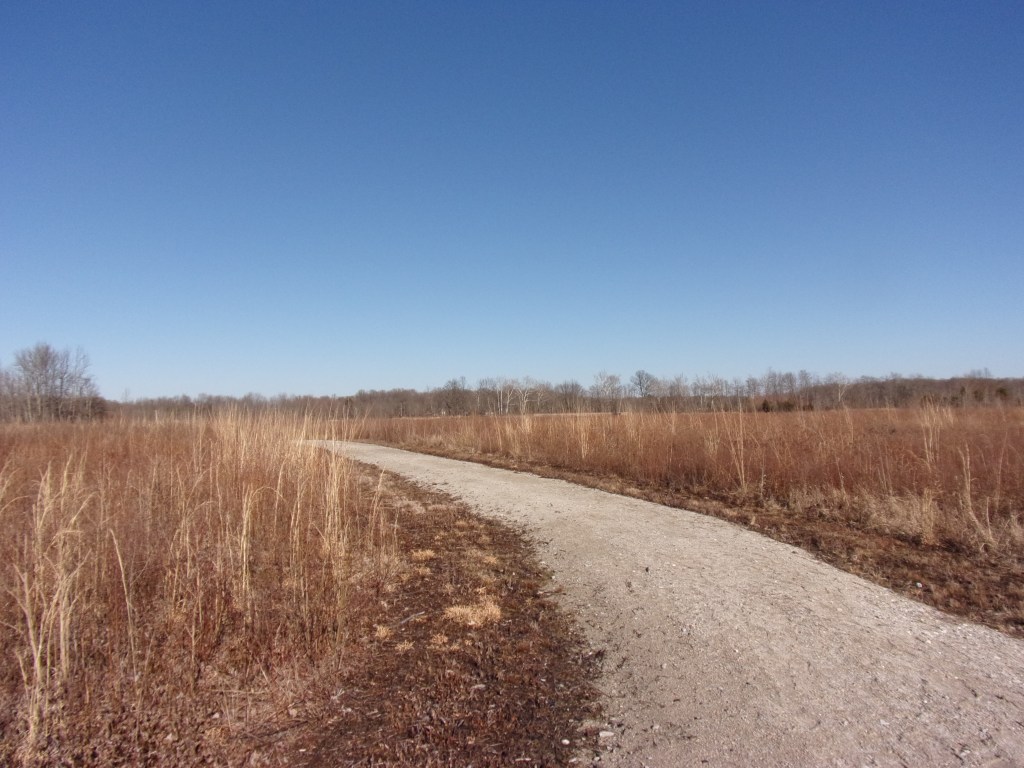 Brandt Natural Area - Versailles State Park