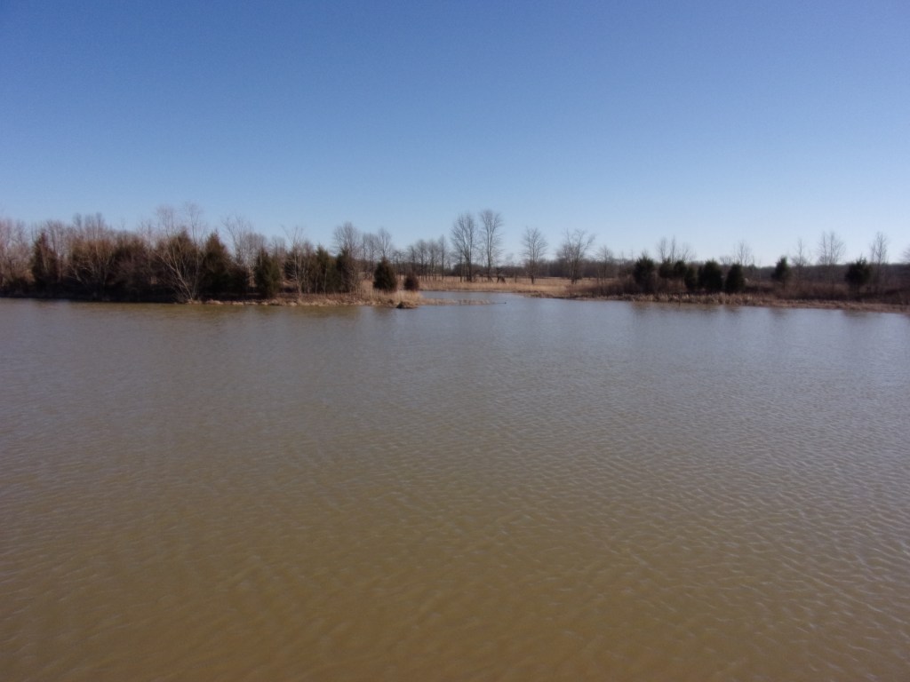 Brandt Natural Area - Versailles State Park