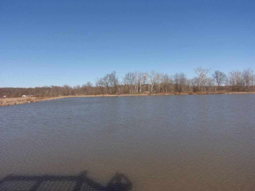 Brandt Natural Area - Versailles State Park