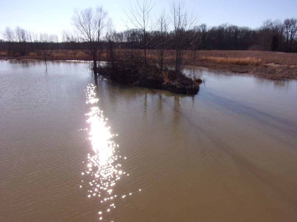 Brandt Natural Area - Versailles State Park