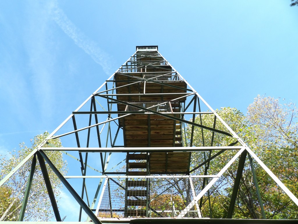 Skyline Drive - Jackson State Forest