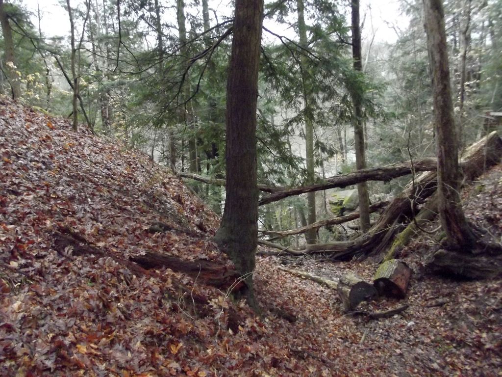 Turkey Run State Park - Trail 3