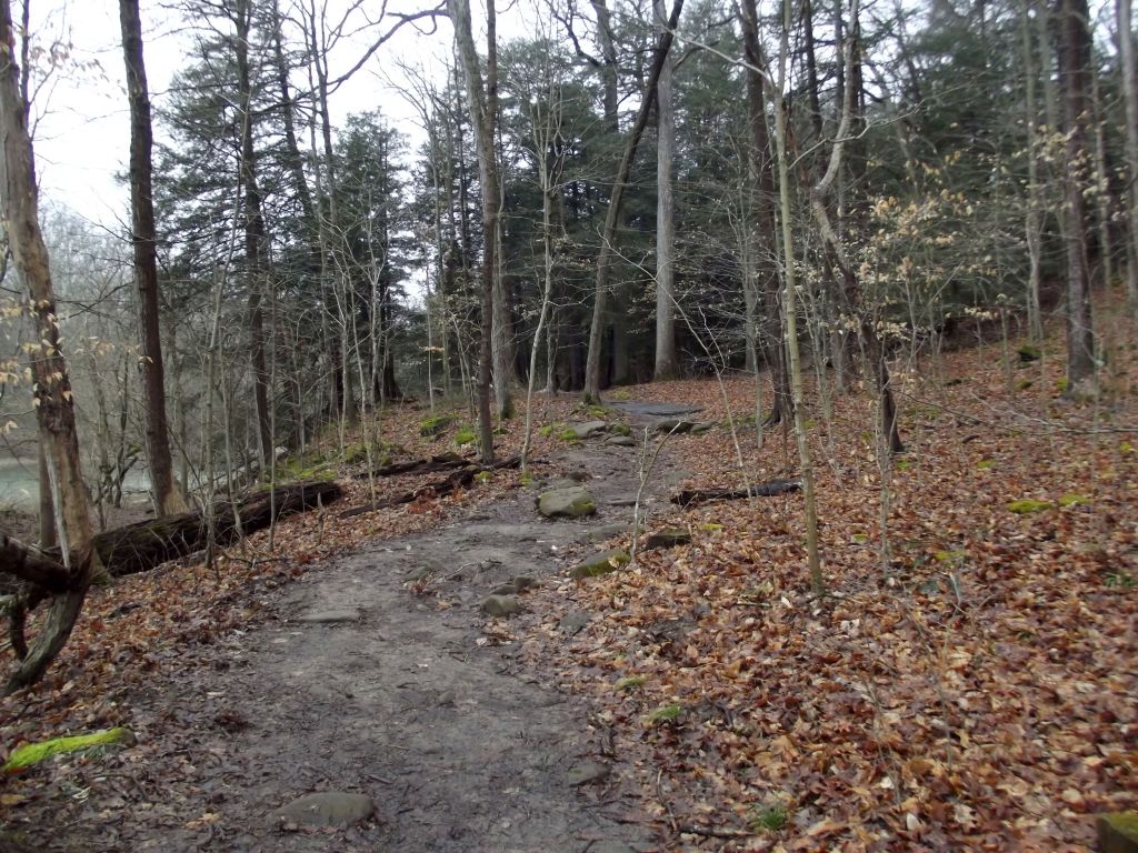 Turkey Run State Park - Trail 3