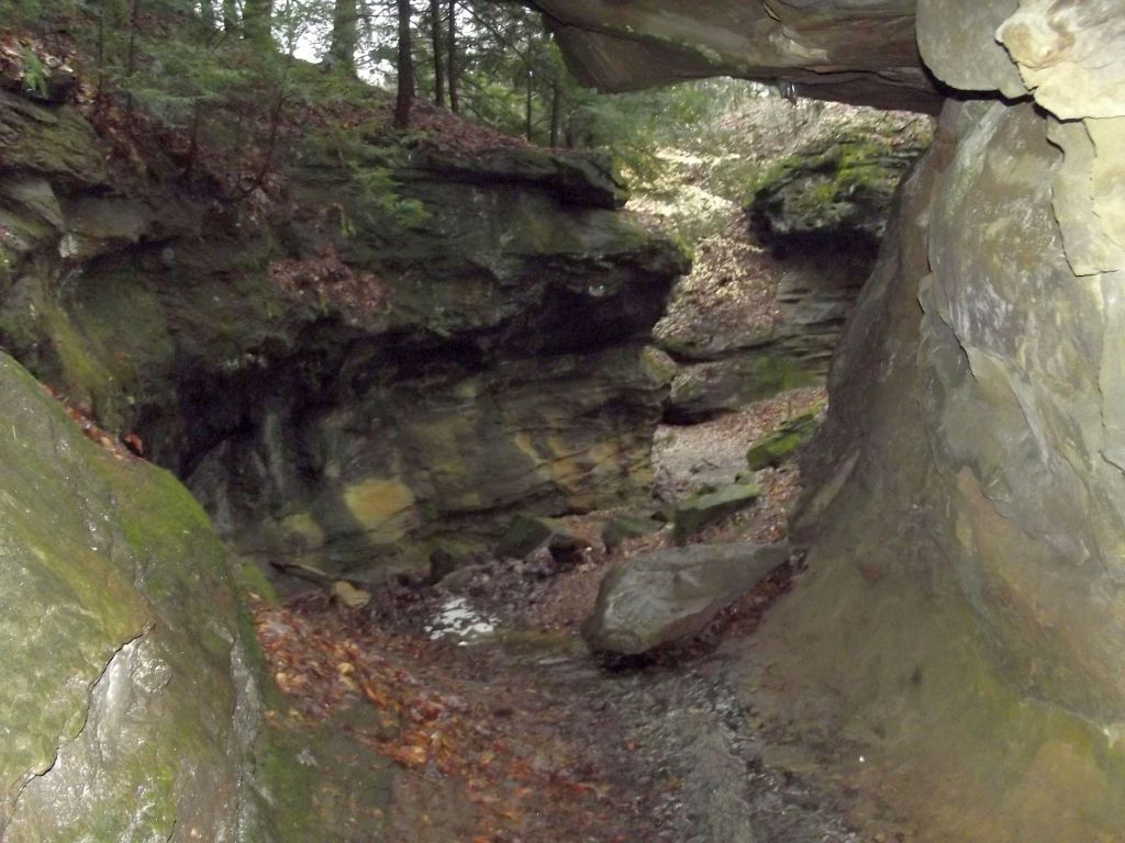 Turkey Run State Park - Trail 3