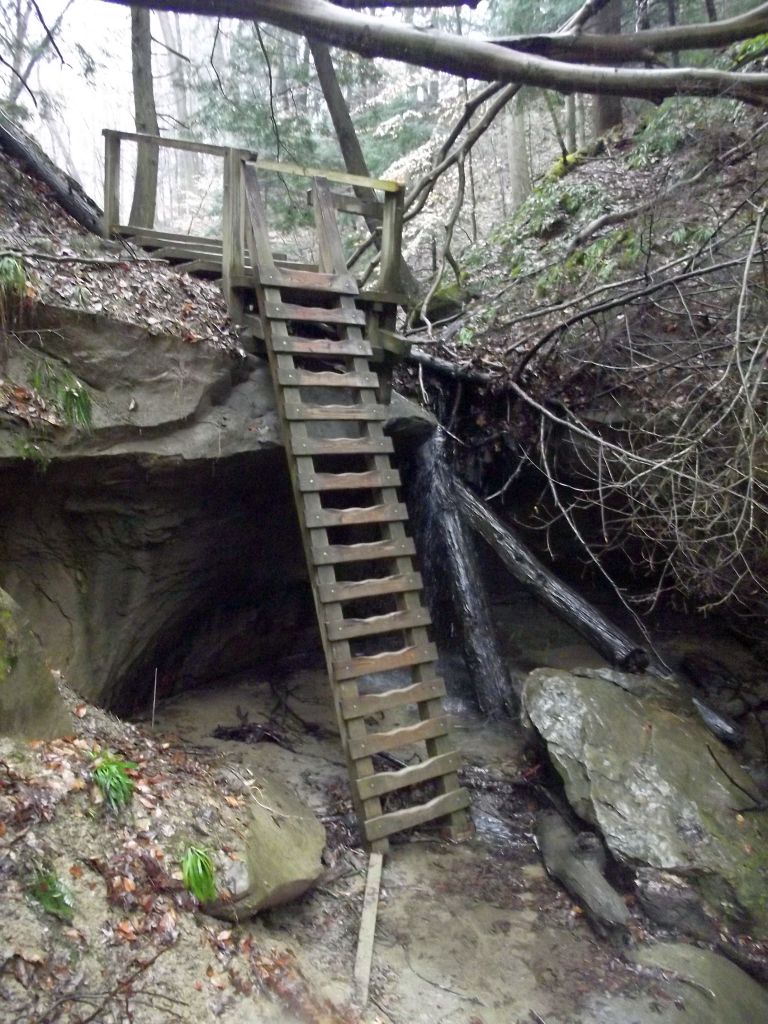 Turkey Run State Park - Trail 3