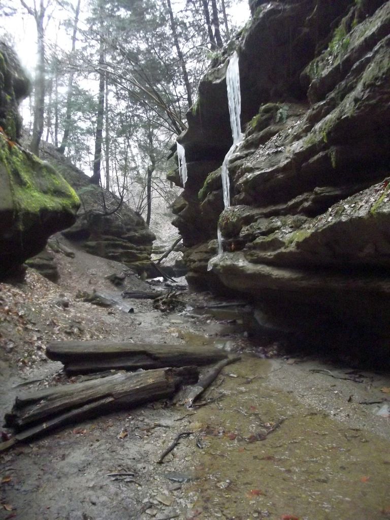 Turkey Run State Park - Trail 3