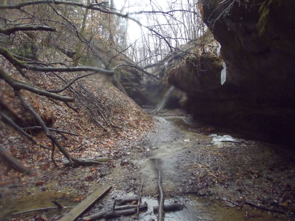 Turkey Run State Park - Trail 3