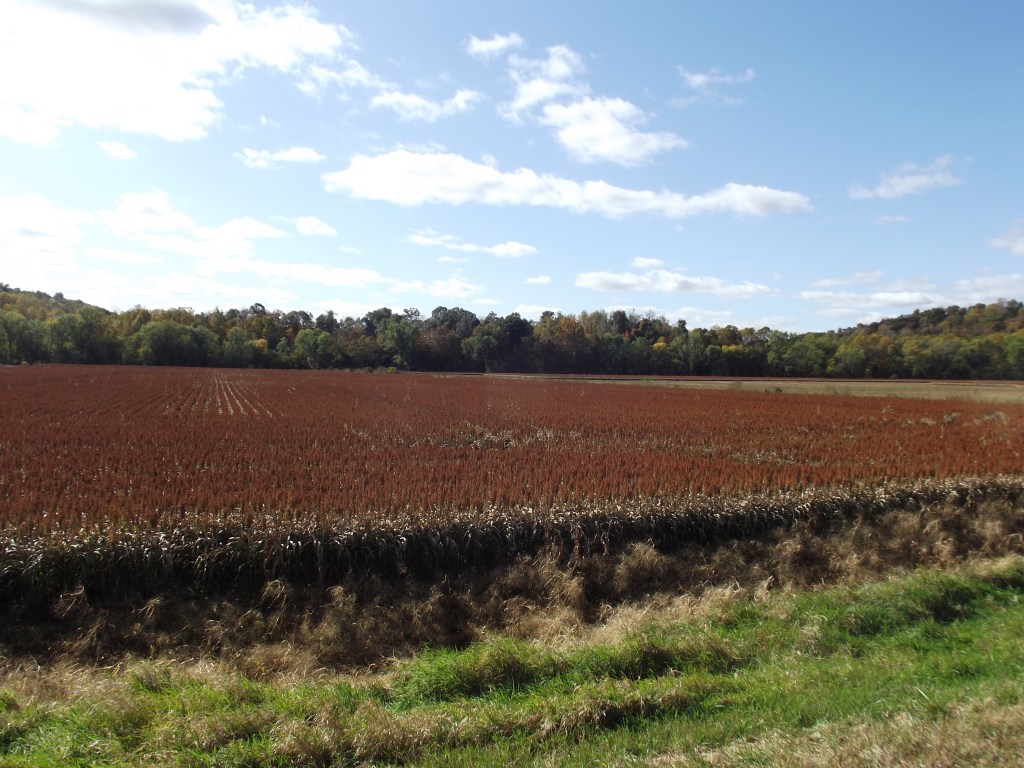 Artist Point - Indiana