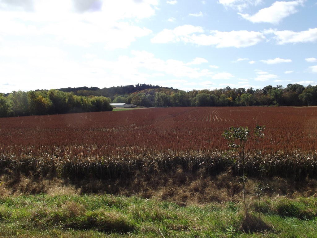 Artist Point - Indiana