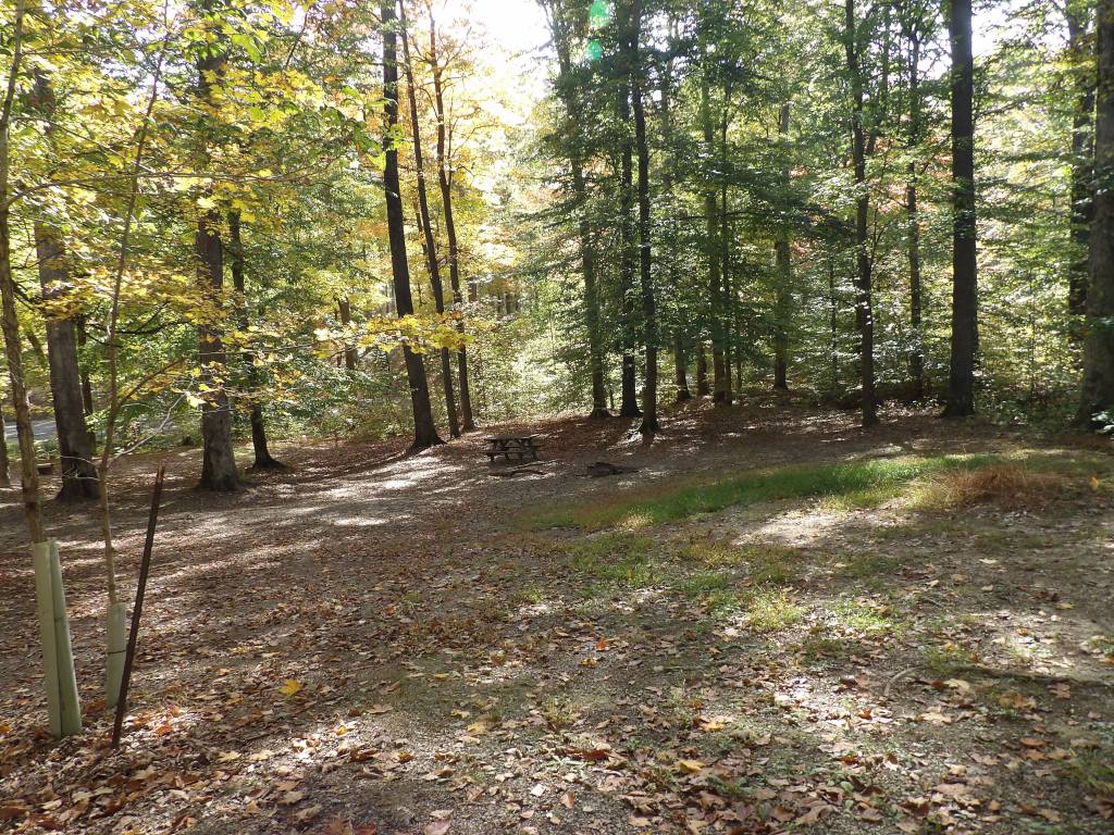 Jackson-Washington State Forest