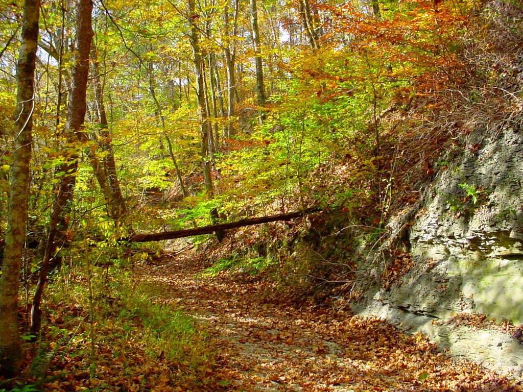 Jackson-Washington State Forest