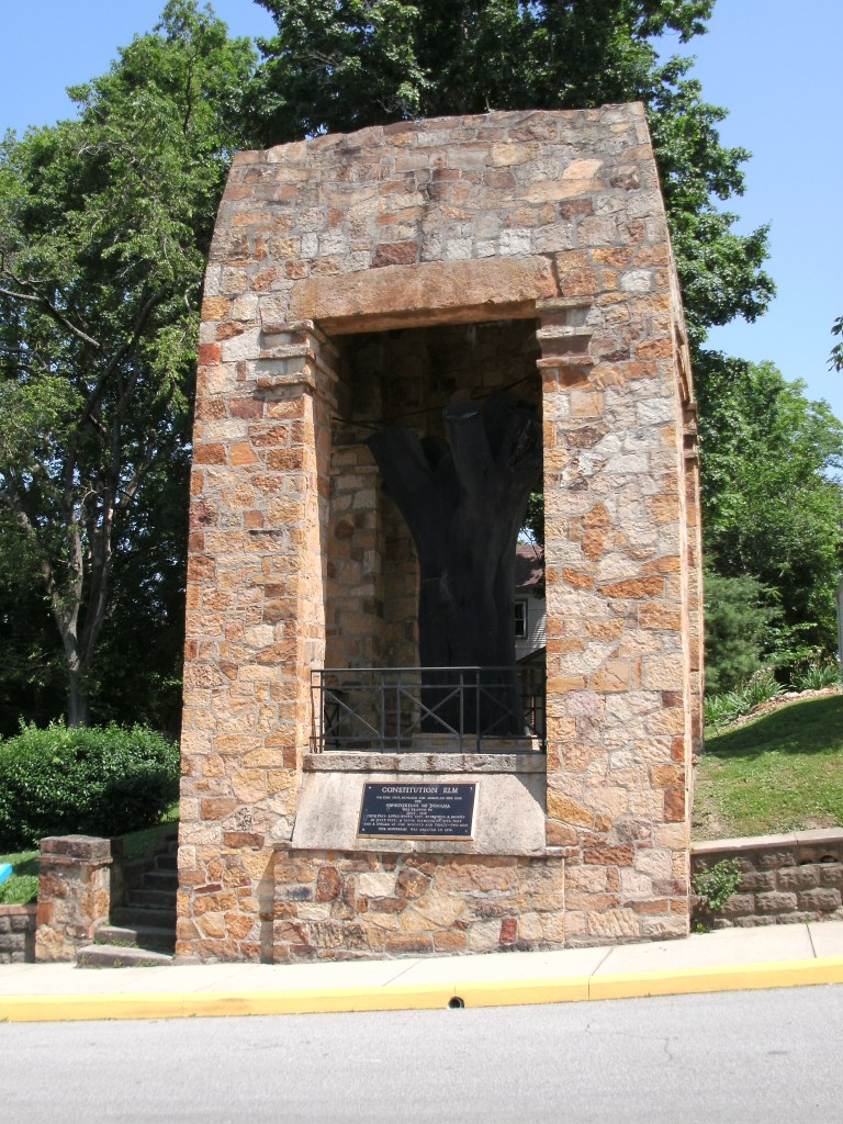 Indiana's Constitution Elm